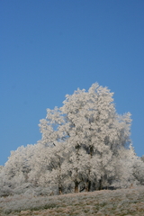 Winterlandschaft Winterlandschaften Romantisch